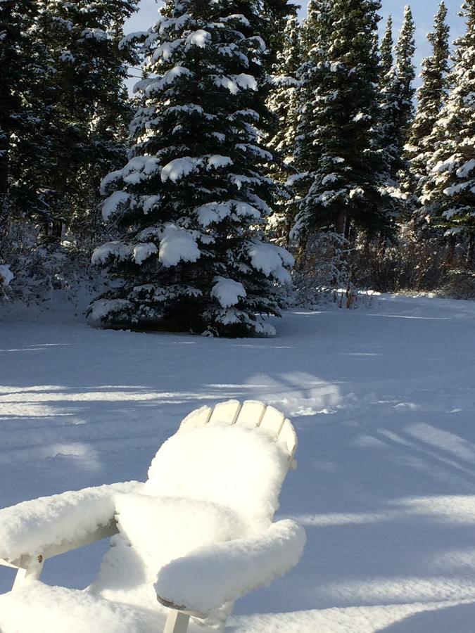 Denali Primrose Bed & Breakfast Хили Экстерьер фото