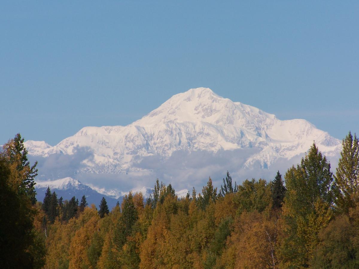 Denali Primrose Bed & Breakfast Хили Экстерьер фото