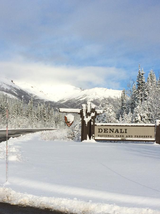 Denali Primrose Bed & Breakfast Хили Экстерьер фото