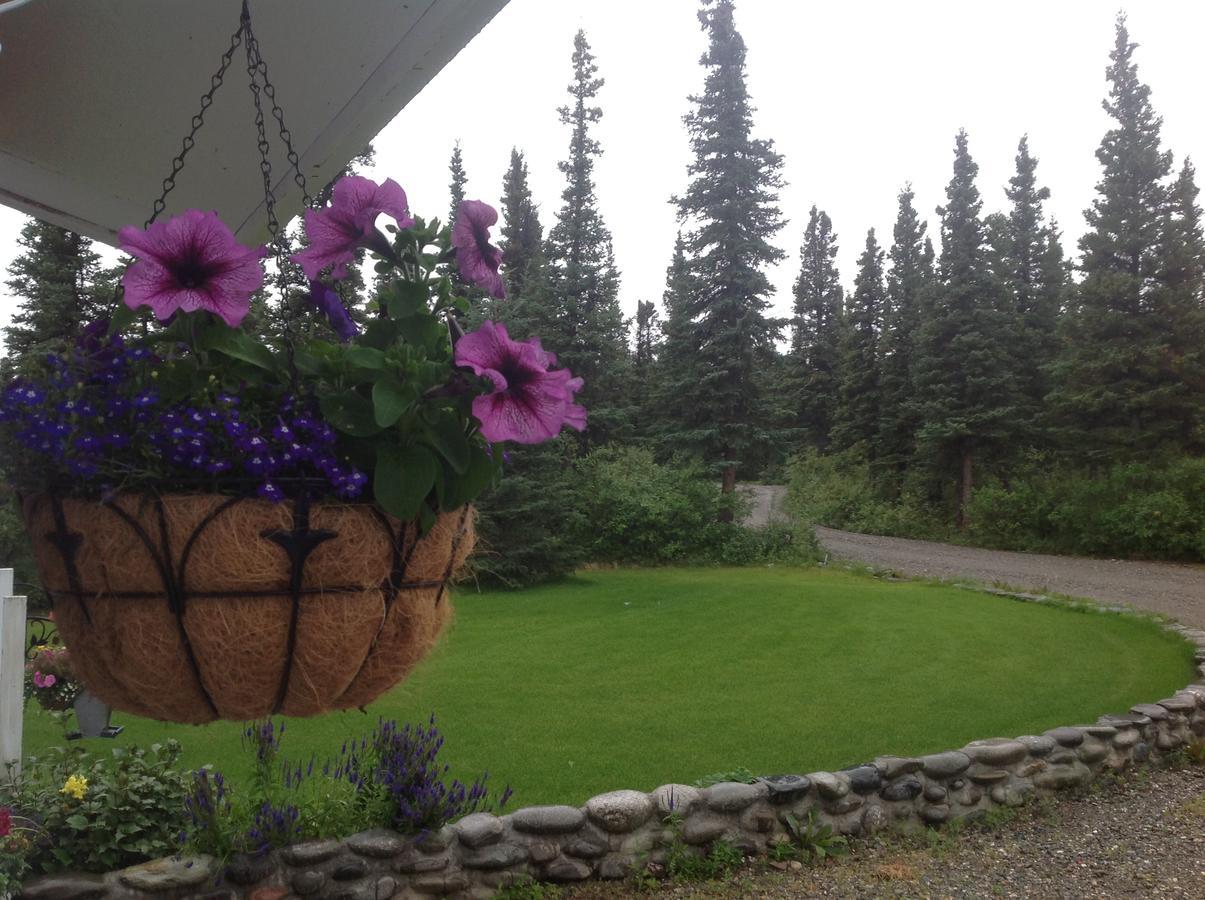 Denali Primrose Bed & Breakfast Хили Экстерьер фото