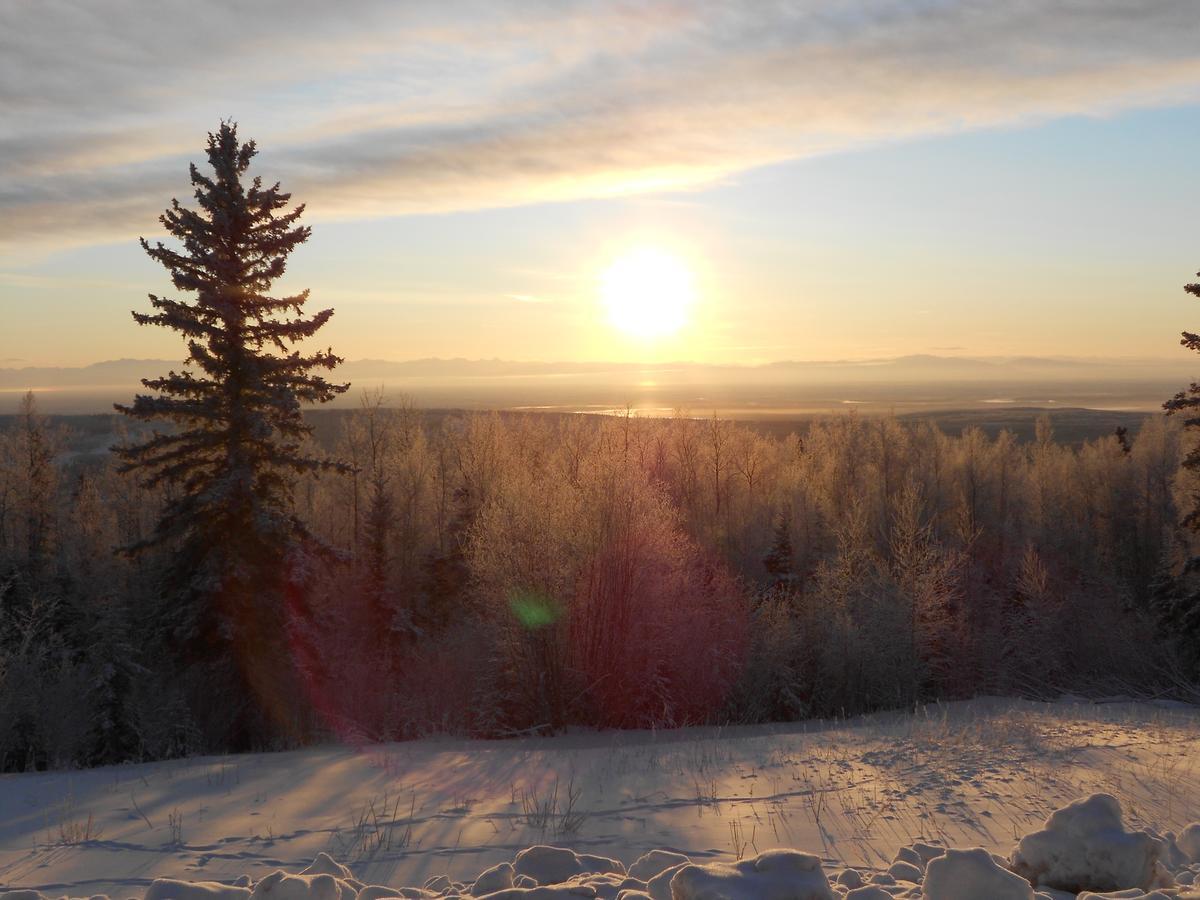 Denali Primrose Bed & Breakfast Хили Экстерьер фото