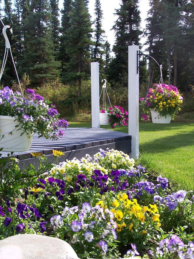 Denali Primrose Bed & Breakfast Хили Экстерьер фото